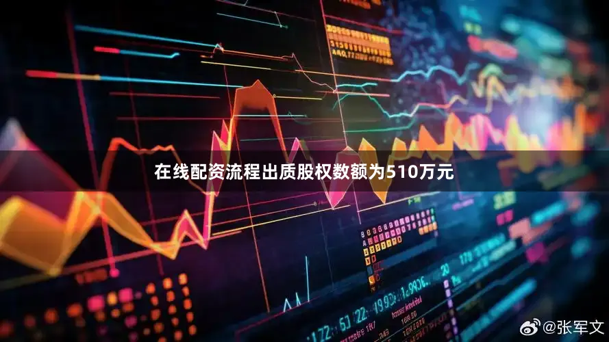 在线配资流程出质股权数额为510万元