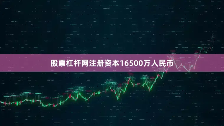 股票杠杆网注册资本16500万人民币